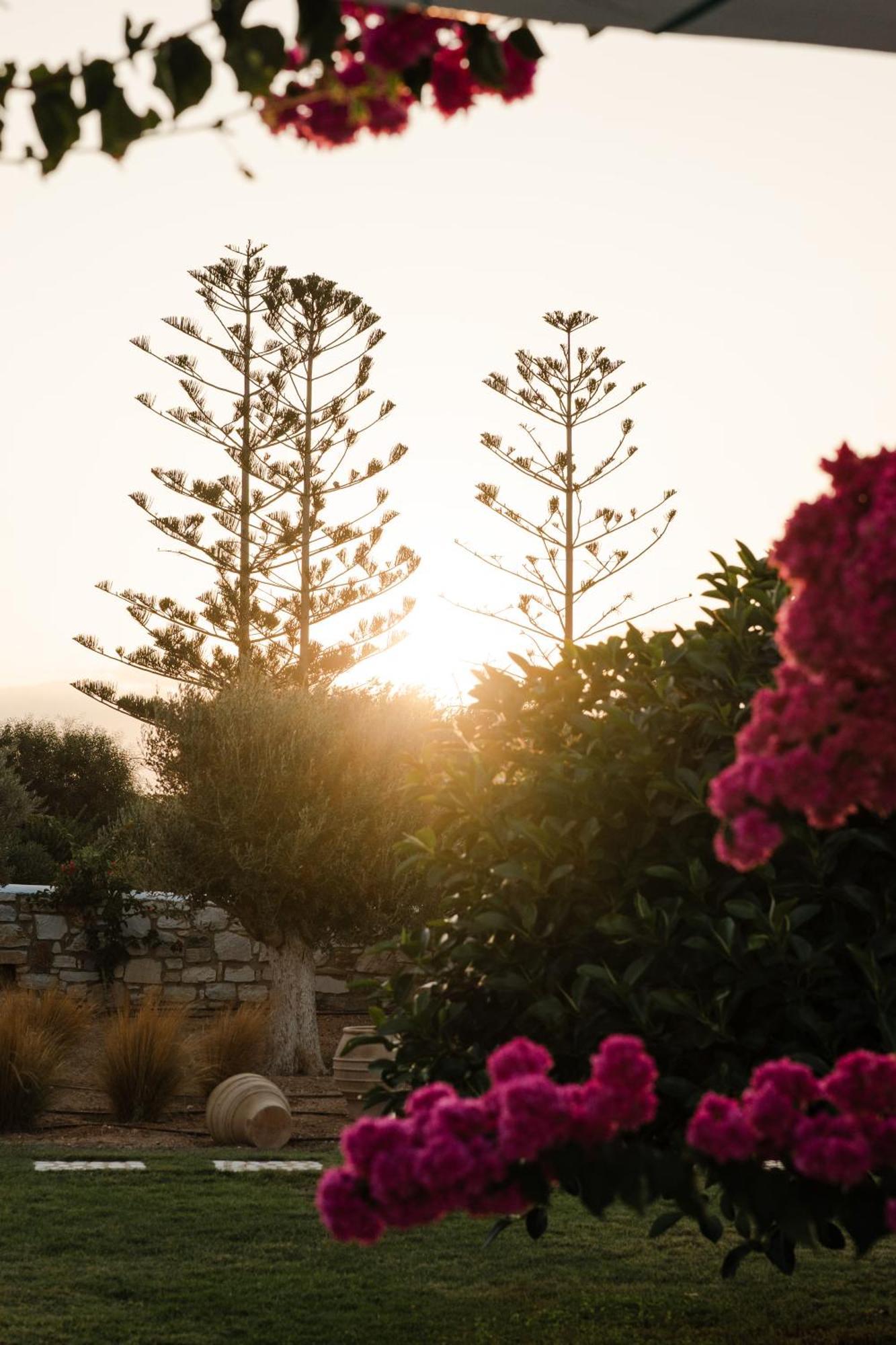 White Dunes Luxury Boutique Hotel Santa Maria (Paros) Exterior foto
