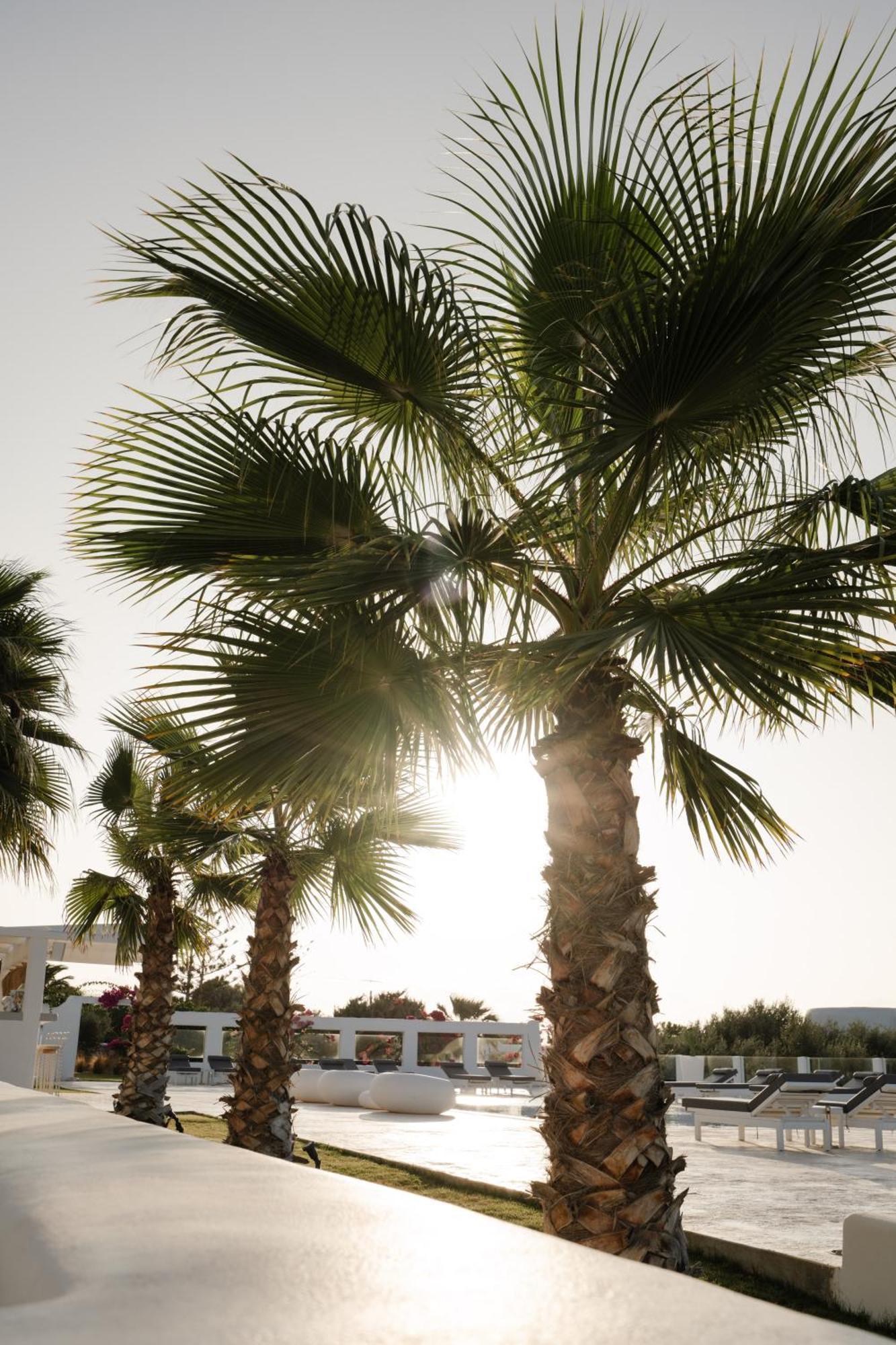 White Dunes Luxury Boutique Hotel Santa Maria (Paros) Exterior foto